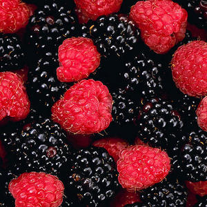 fructe-de-padure